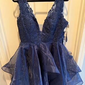 Elegant Navy Lace and Tulle Dress